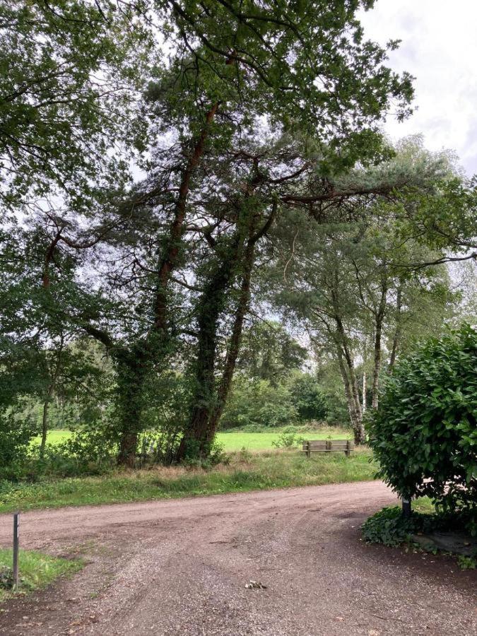 Zen Retreat - Free Private Parking! Leilighet Enschede Eksteriør bilde